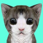 Cat Simulator Online MOD Unlimited Money APKs 37