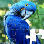 Jigsaw Puzzles – Puzzle Games MOD Unlimited Money APKs 3.177