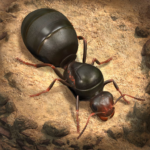 The Ants Underground Kingdom MOD Unlimited Money APKs 3.67.0
