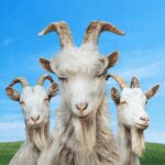Goat Simulator 3 MOD Unlimited Money APKs 1.1.4.4